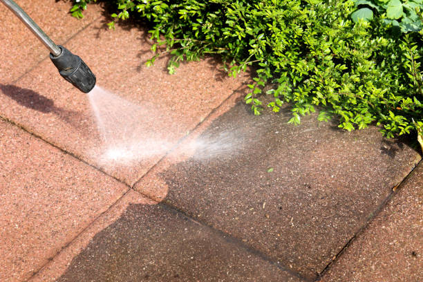 Best Roof Power Washing Services  in Eagle, NE
